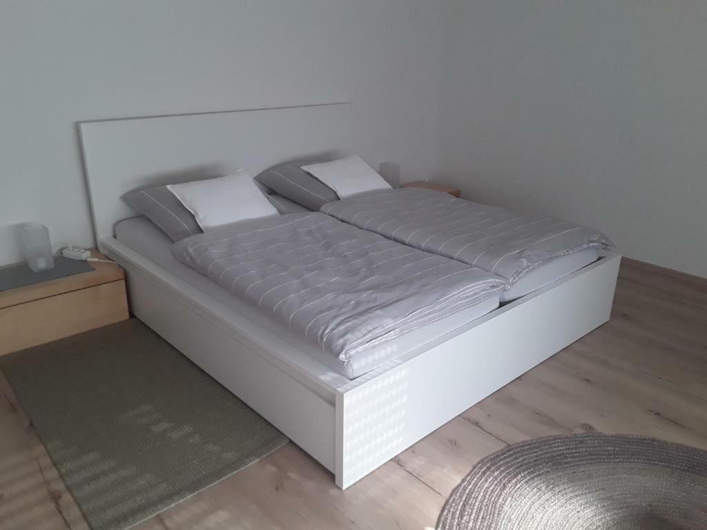 Apartment Freundliche Mit Grosser Terasse